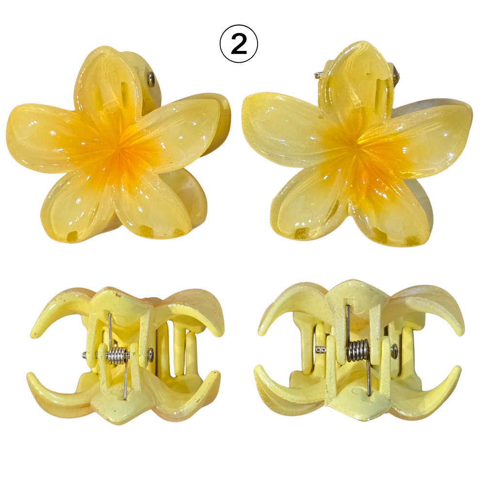 2 Medium Flower Claw Hairclips